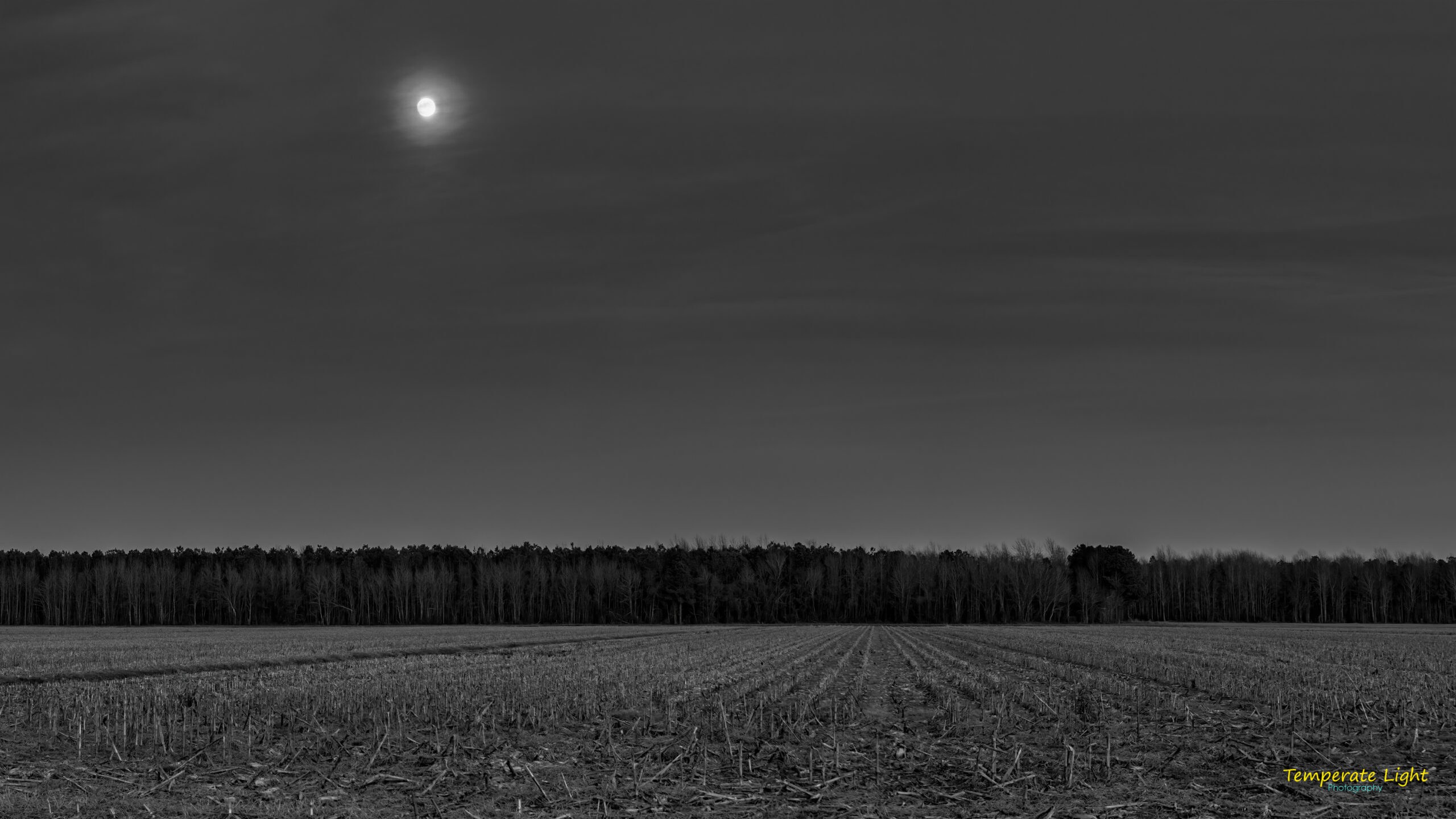 Moonrise Panorama